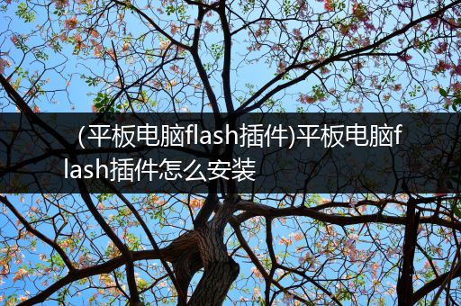 （平板电脑flash插件)平板电脑flash插件怎么安装