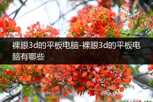 裸眼3d的平板电脑-裸眼3d的平板电脑有哪些