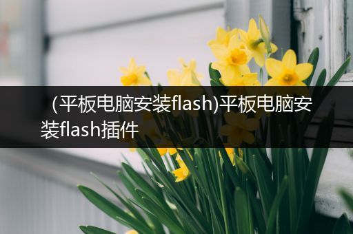 （平板电脑安装flash)平板电脑安装flash插件