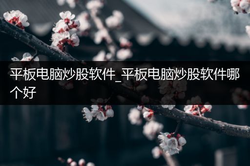 平板电脑炒股软件_平板电脑炒股软件哪个好