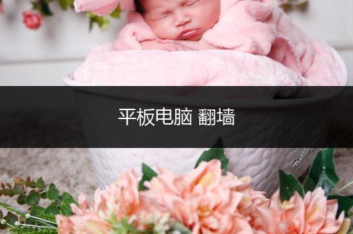平板电脑 翻墙