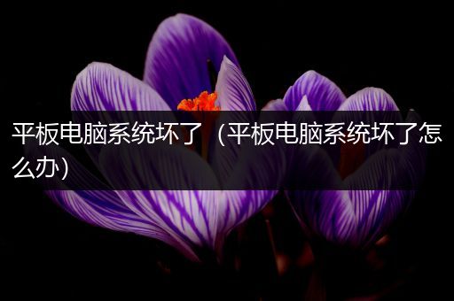 平板电脑系统坏了（平板电脑系统坏了怎么办）