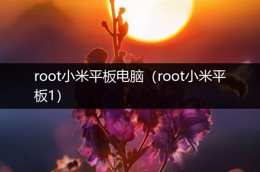 root小米平板电脑（root小米平板1）