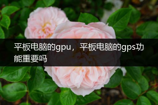 平板电脑的gpu，平板电脑的gps功能重要吗