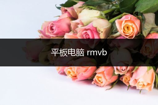 平板电脑 rmvb