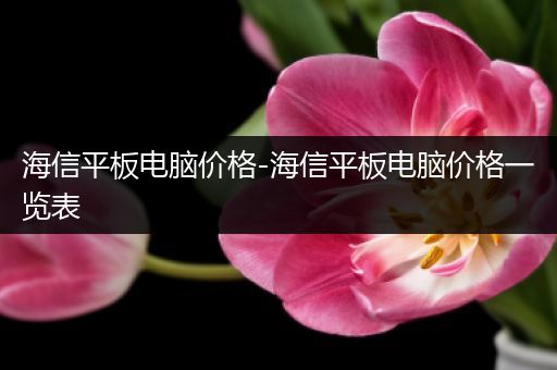 海信平板电脑价格-海信平板电脑价格一览表