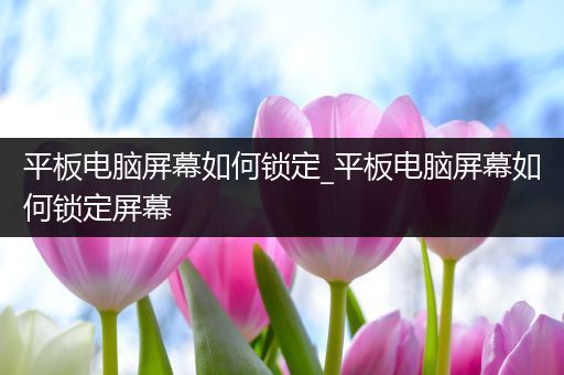 平板电脑屏幕如何锁定_平板电脑屏幕如何锁定屏幕