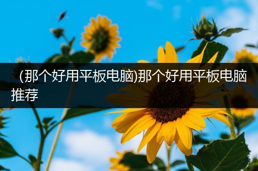（那个好用平板电脑)那个好用平板电脑推荐