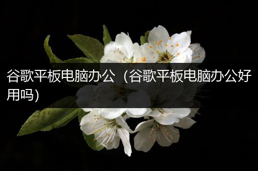 谷歌平板电脑办公（谷歌平板电脑办公好用吗）