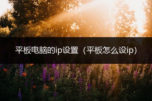 平板电脑的ip设置（平板怎么设ip）