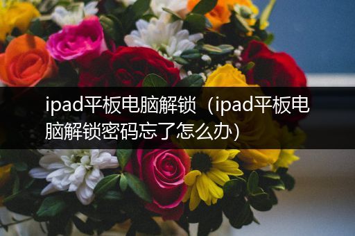 ipad平板电脑解锁（ipad平板电脑解锁密码忘了怎么办）