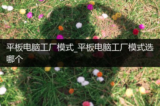 平板电脑工厂模式_平板电脑工厂模式选哪个