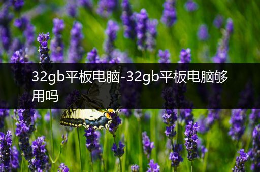32gb平板电脑-32gb平板电脑够用吗