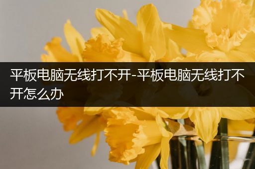 平板电脑无线打不开-平板电脑无线打不开怎么办