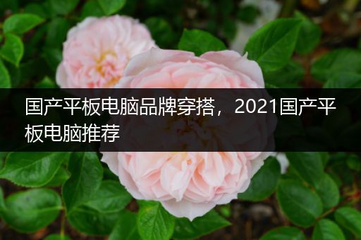 国产平板电脑品牌穿搭，2021国产平板电脑推荐