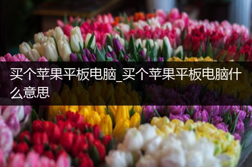 买个苹果平板电脑_买个苹果平板电脑什么意思