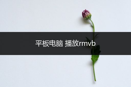 平板电脑 播放rmvb