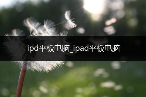 ipd平板电脑_ipad平板电脑