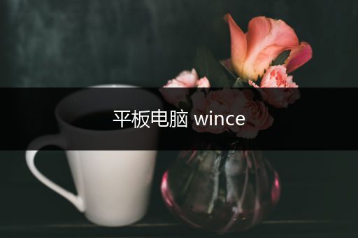 平板电脑 wince