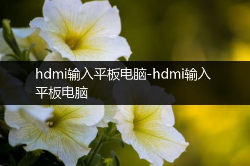 hdmi输入平板电脑-hdmi输入 平板电脑