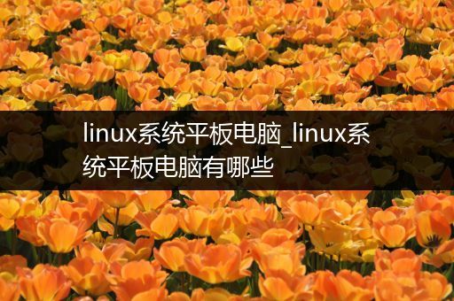 linux系统平板电脑_linux系统平板电脑有哪些