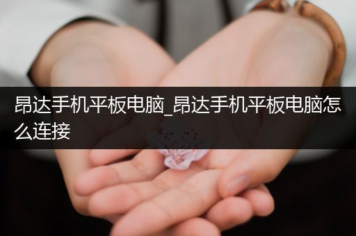 昂达手机平板电脑_昂达手机平板电脑怎么连接