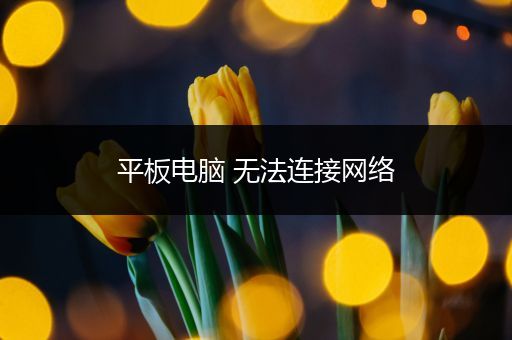平板电脑 无法连接网络