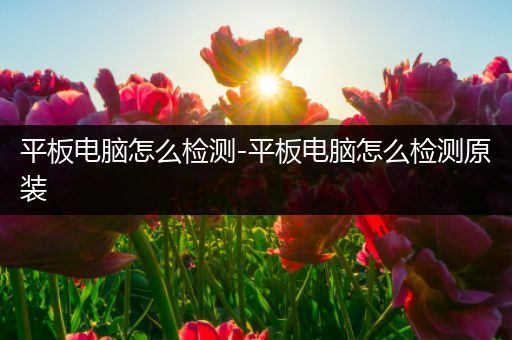平板电脑怎么检测-平板电脑怎么检测原装