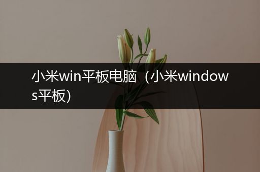 小米win平板电脑（小米windows平板）