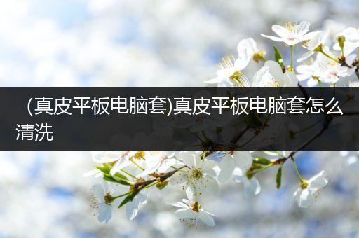 （真皮平板电脑套)真皮平板电脑套怎么清洗