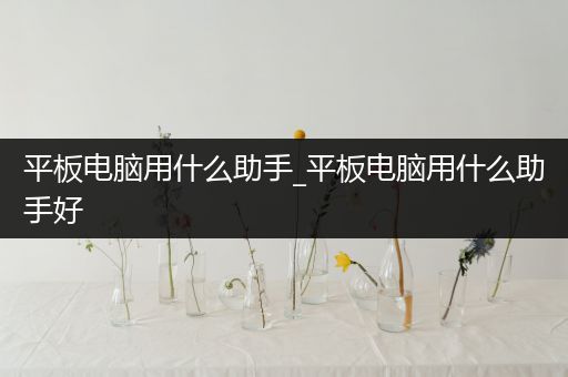 平板电脑用什么助手_平板电脑用什么助手好