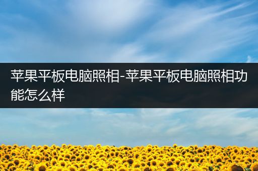 苹果平板电脑照相-苹果平板电脑照相功能怎么样