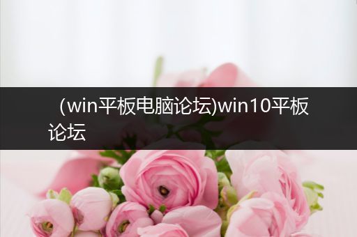 （win平板电脑论坛)win10平板论坛