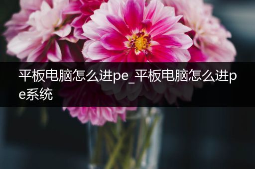 平板电脑怎么进pe_平板电脑怎么进pe系统