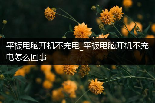 平板电脑开机不充电_平板电脑开机不充电怎么回事
