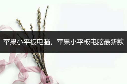 苹果小平板电脑，苹果小平板电脑最新款