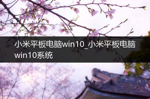 小米平板电脑win10_小米平板电脑win10系统