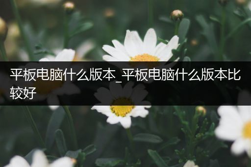 平板电脑什么版本_平板电脑什么版本比较好