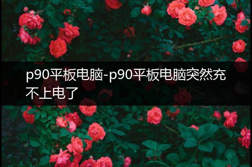 p90平板电脑-p90平板电脑突然充不上电了
