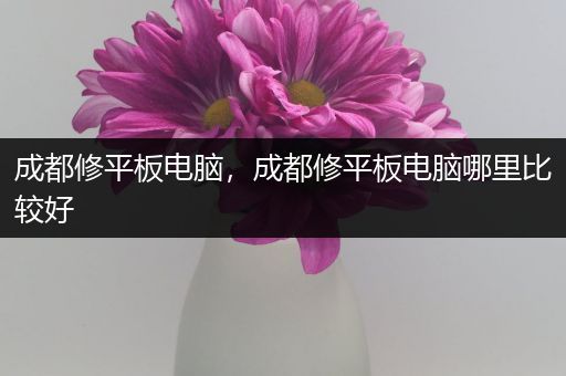 成都修平板电脑，成都修平板电脑哪里比较好