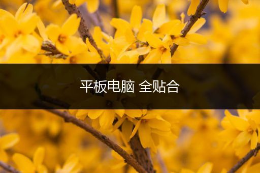 平板电脑 全贴合