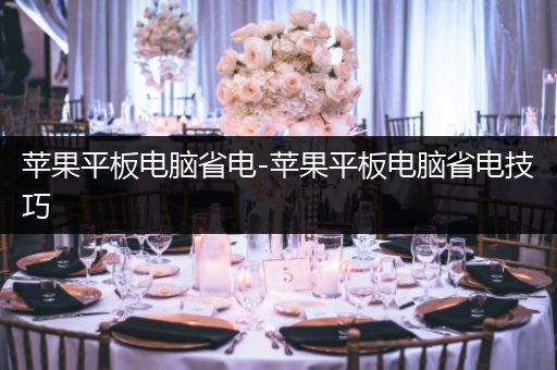 苹果平板电脑省电-苹果平板电脑省电技巧