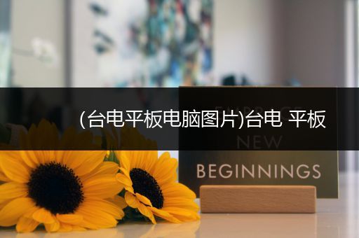 （台电平板电脑图片)台电 平板