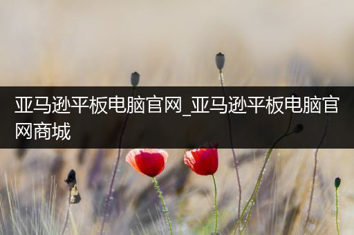 亚马逊平板电脑官网_亚马逊平板电脑官网商城