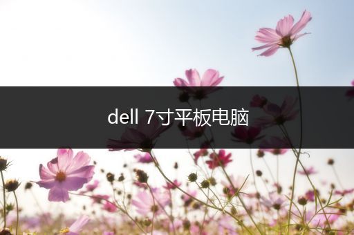 dell 7寸平板电脑