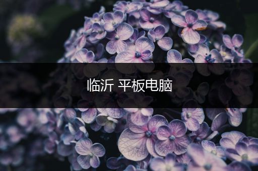 临沂 平板电脑