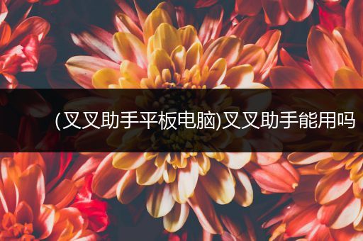 （叉叉助手平板电脑)叉叉助手能用吗