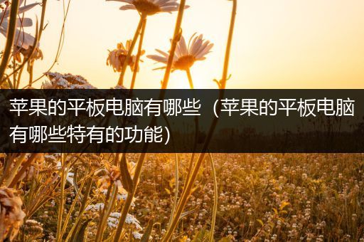 苹果的平板电脑有哪些（苹果的平板电脑有哪些特有的功能）