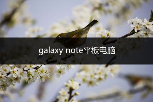 galaxy note平板电脑