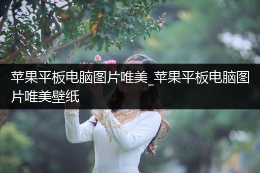 苹果平板电脑图片唯美_苹果平板电脑图片唯美壁纸